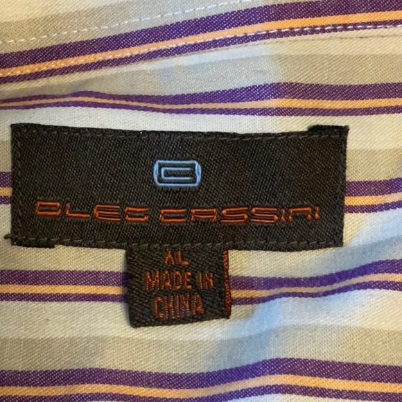 Classic Beige Striped Button-Down Shirt - Picture 4 of 5